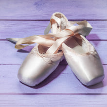 Load image into Gallery viewer, Sugar Plum Fairy
