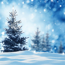 Load image into Gallery viewer, Winter Solstice