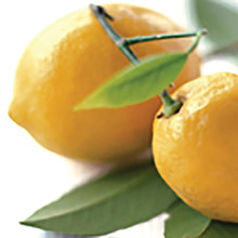 Load image into Gallery viewer, Lemon Drop