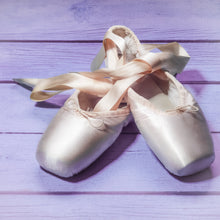 Load image into Gallery viewer, Sugar Plum Fairy
